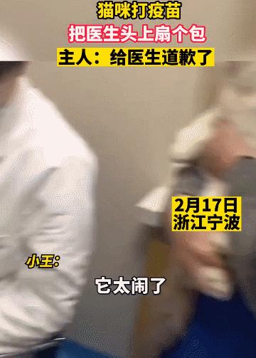 公猫出去一天一夜了都没回家,公猫出去三天没回来了