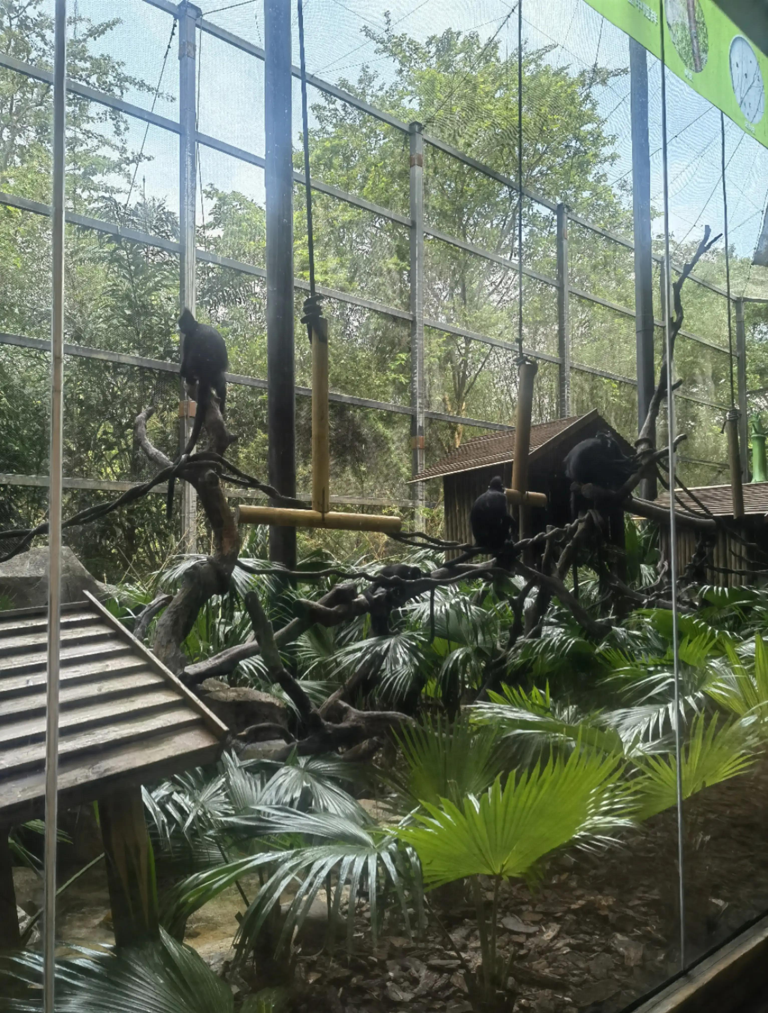世界上唯一的夜间野生动物园,中国最好的北极熊动物园