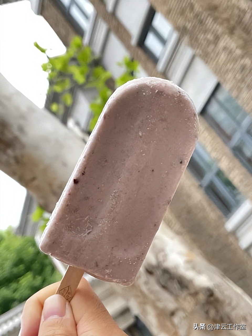 康乐小豆在天津哪里,康乐小豆天津哪里人