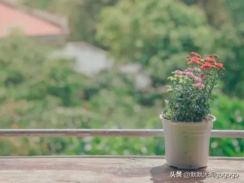 回首过往，他才是最爱我的男人