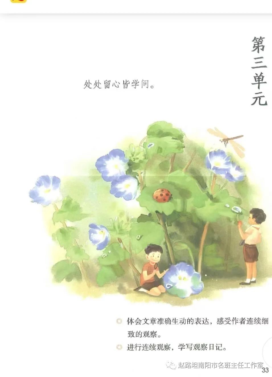 豆芽成长记优秀作文,豆芽成长记日记三年级