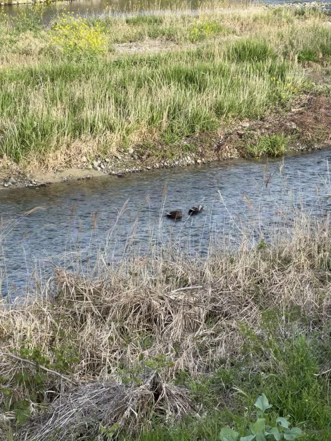 城市探索方案,城市探索计划幕后