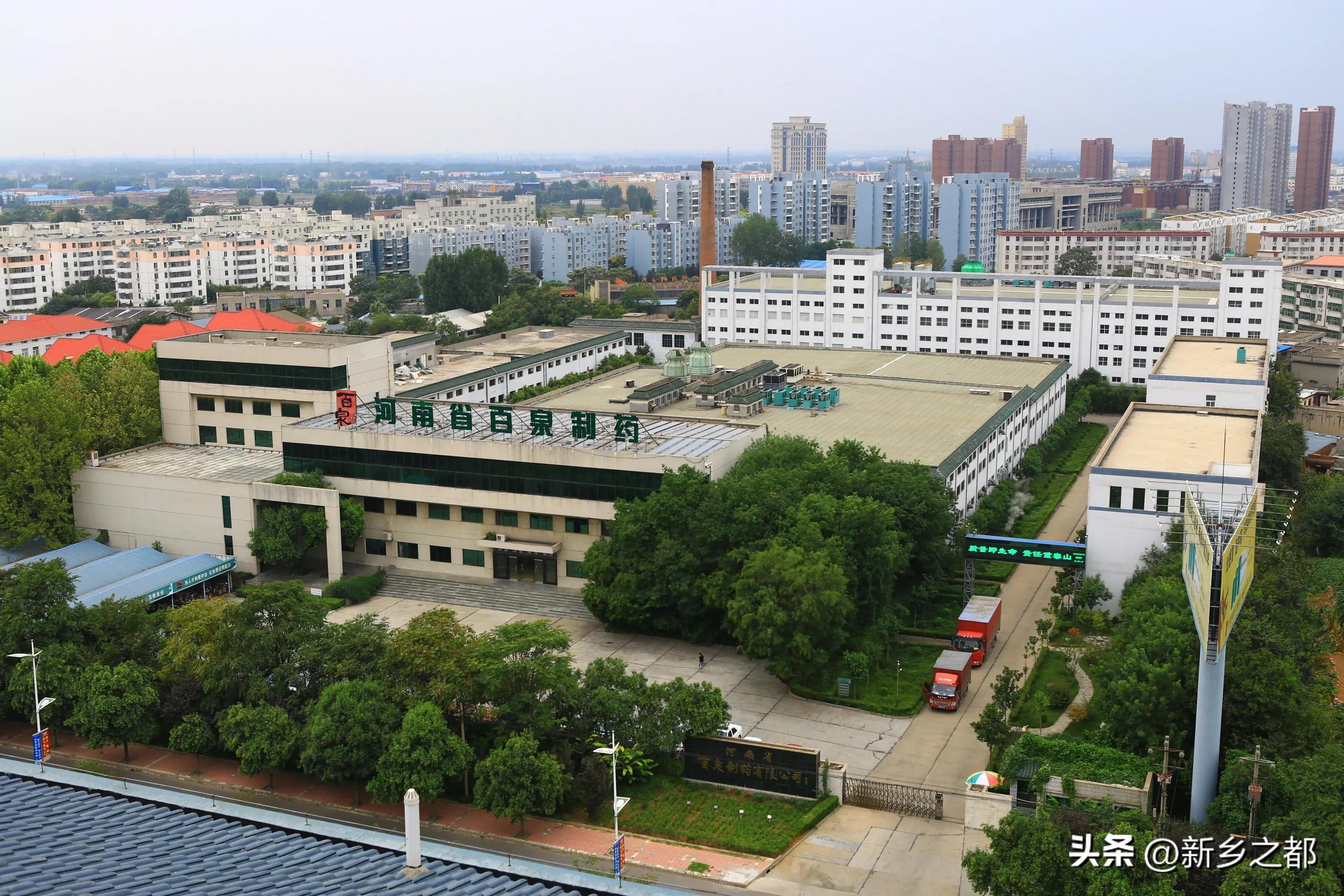 百泉制药厂原董事长,百泉制药郑琴