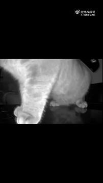 各种搞笑动图大全,吃惊搞笑动图