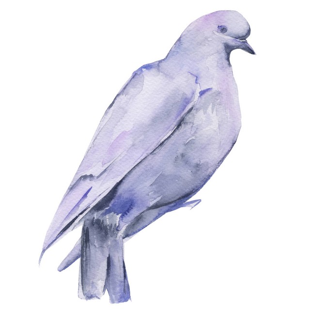 愤怒的小鸟代码开发,愤怒的小鸟游戏源码