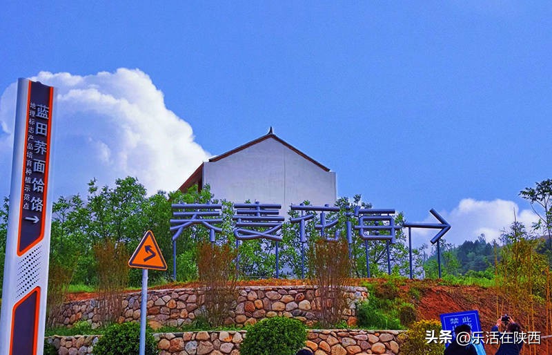 蓝田荞麦花海和高山草甸,西安荞麦花海旅游
