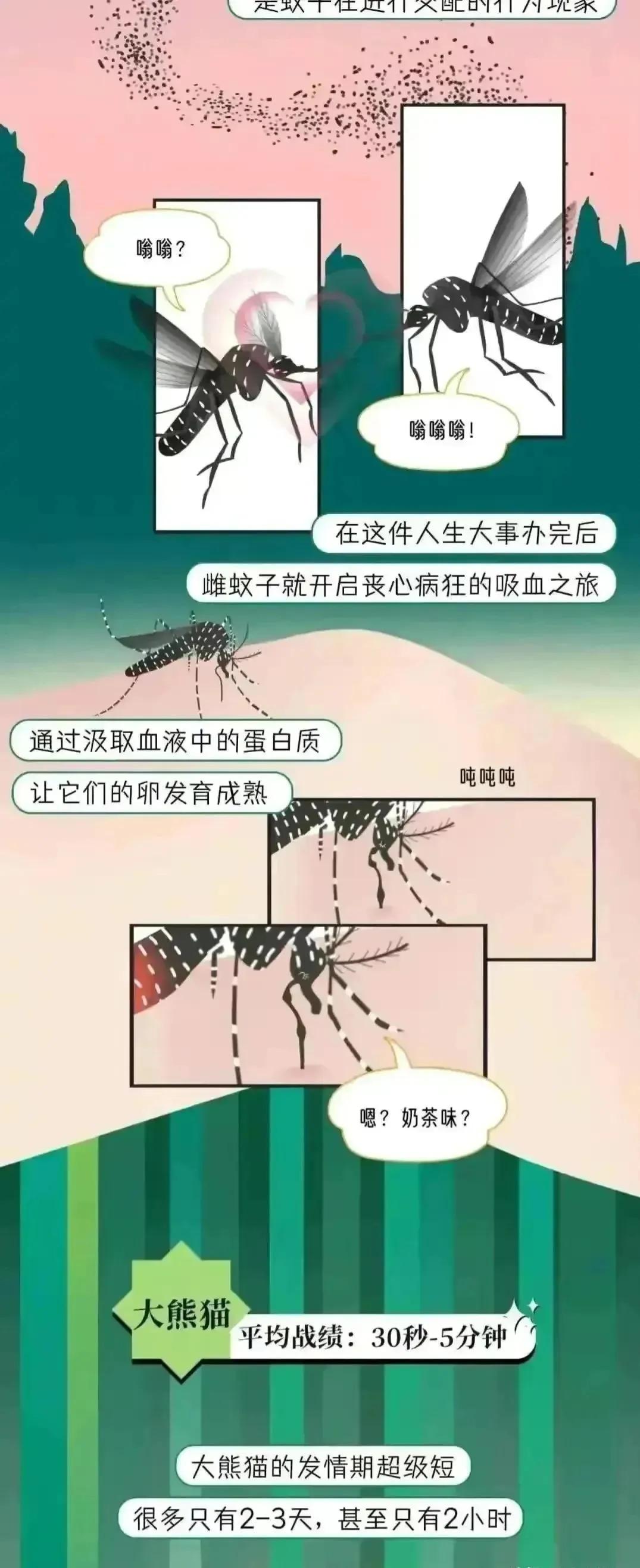 人类受孕时长是多久,人类正常受孕多久
