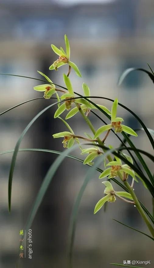 一天一个成语典故,一天一日的成语