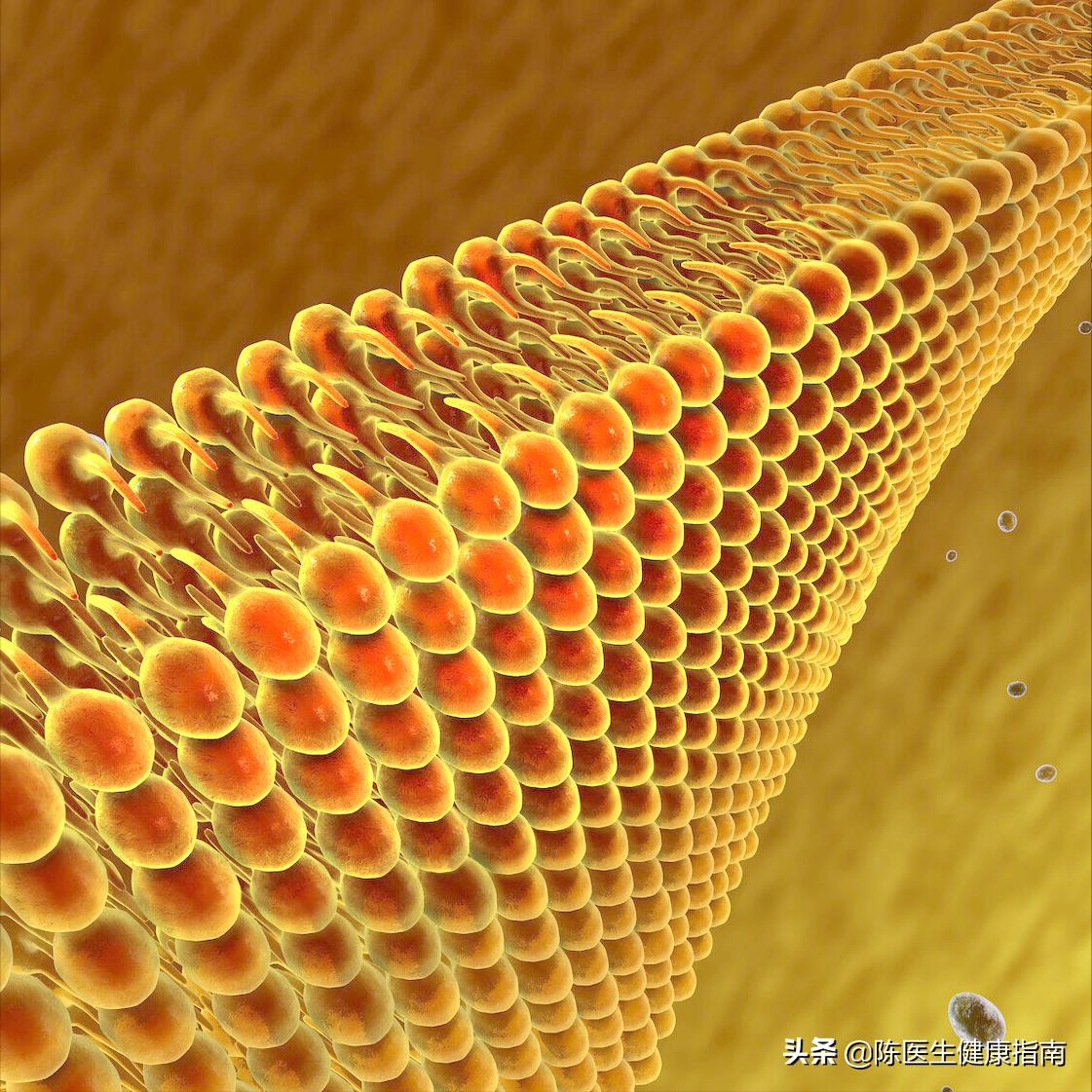 进口他汀比国产的副作用要小点吗,进口他汀太贵怎么办
