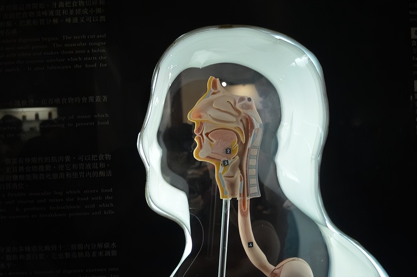 香港国际展览馆有什么,香港展览馆