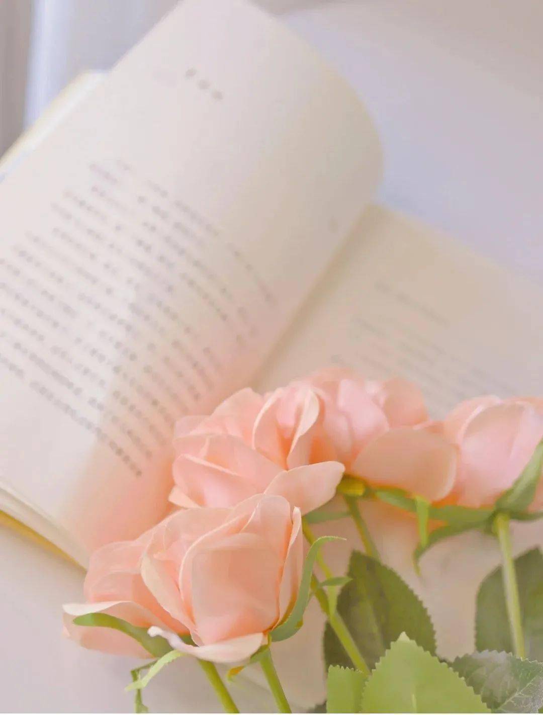 让人心灵平静的散文,散文人生最好的境界是丰富的安静