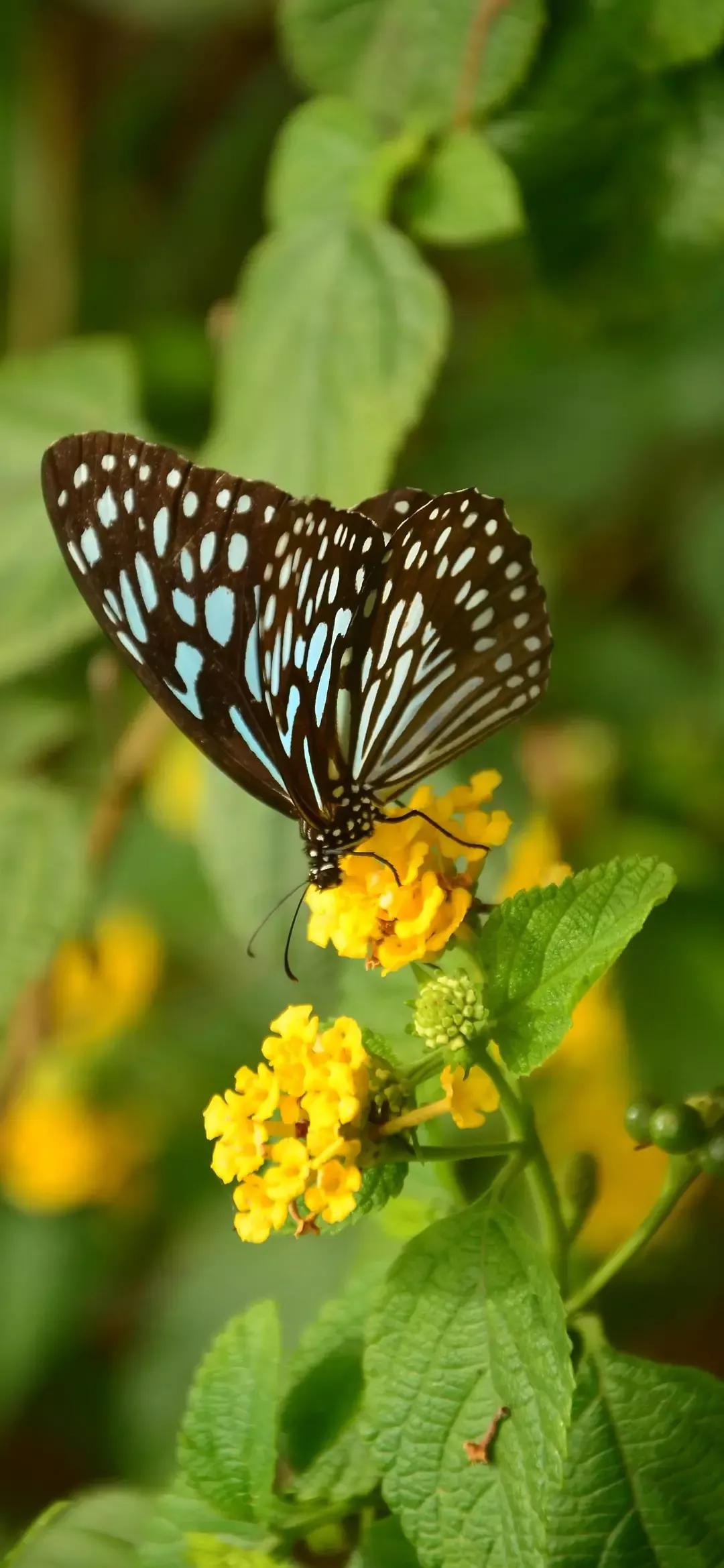 歼20高清壁纸4k全屏无水印,精选壁纸高清无水印高级感