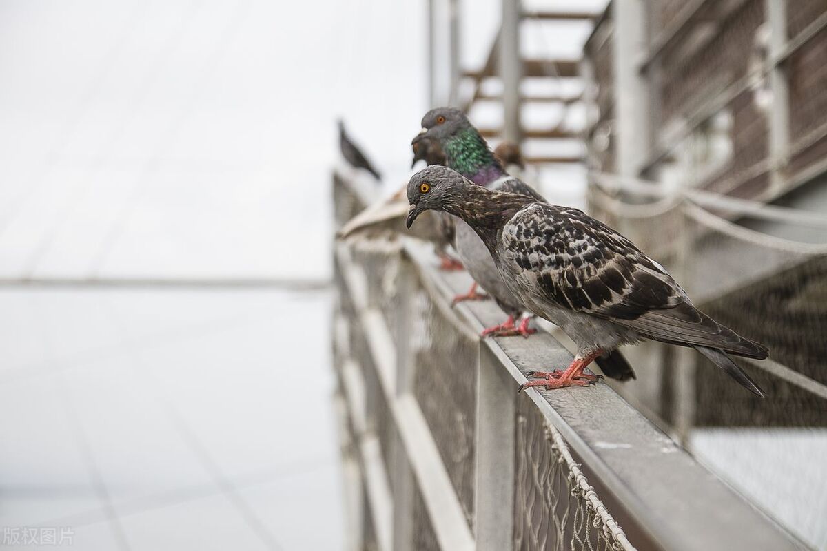 一个足球教练的故事,一个足球教练的成长之路