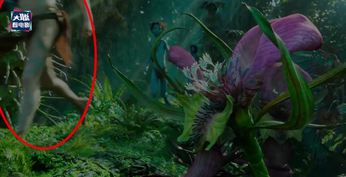 阿凡达2曝光全新中文海报及预告,外网曝阿凡达2预告