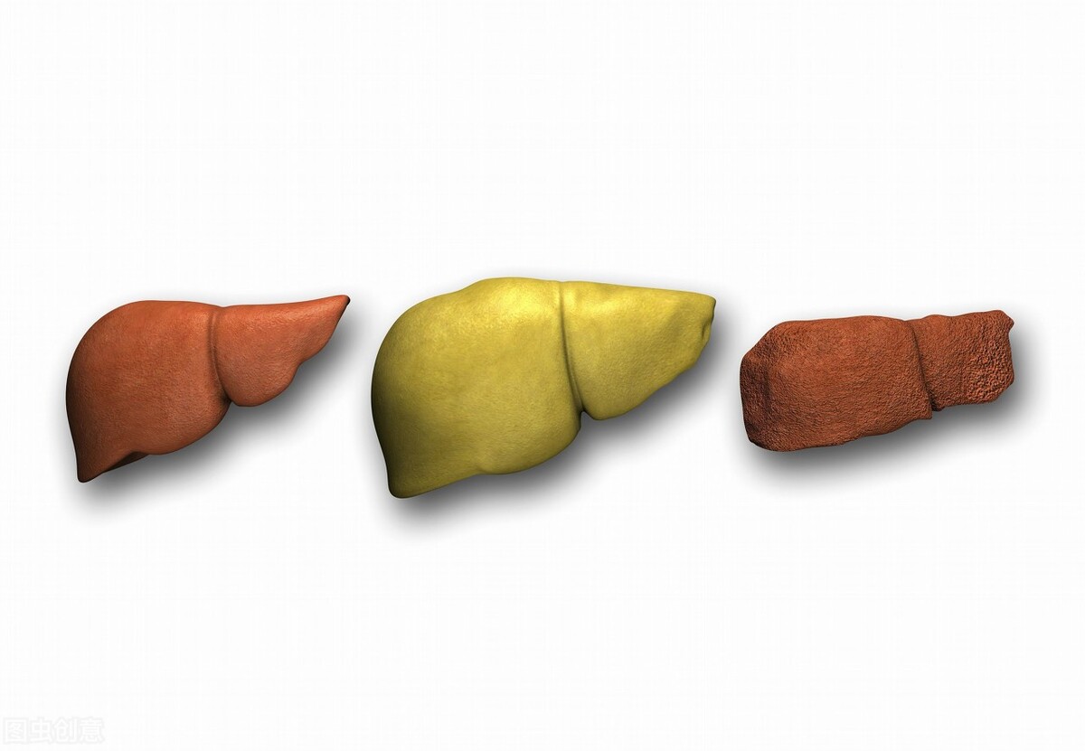 b超检查肝脏回声增粗是怎么回事,肝脏b超肝内光点增粗是什么意思