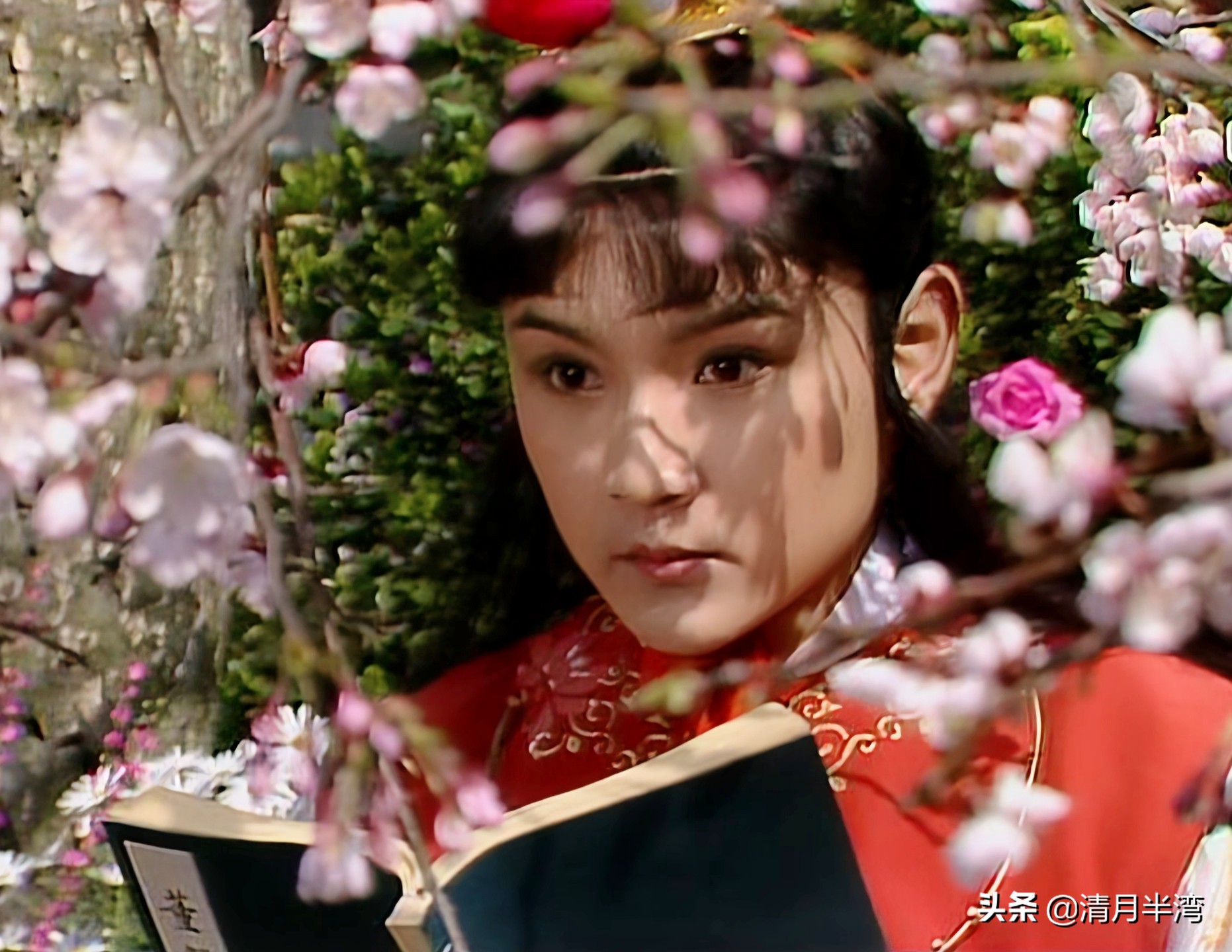 同样是演“宝黛读西厢”，87版美得像古画，新版怼脸怼嘴还怼胸？