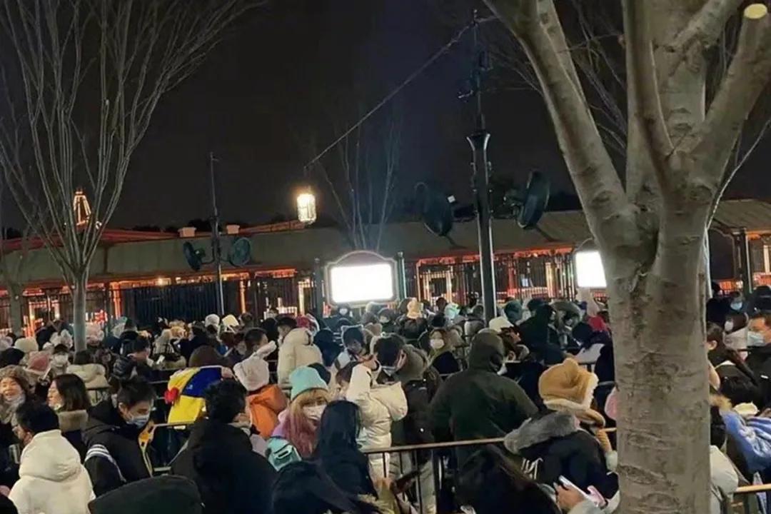 凌晨三点买迪士尼玩偶的原因,为啥有人深夜去买迪士尼玩偶