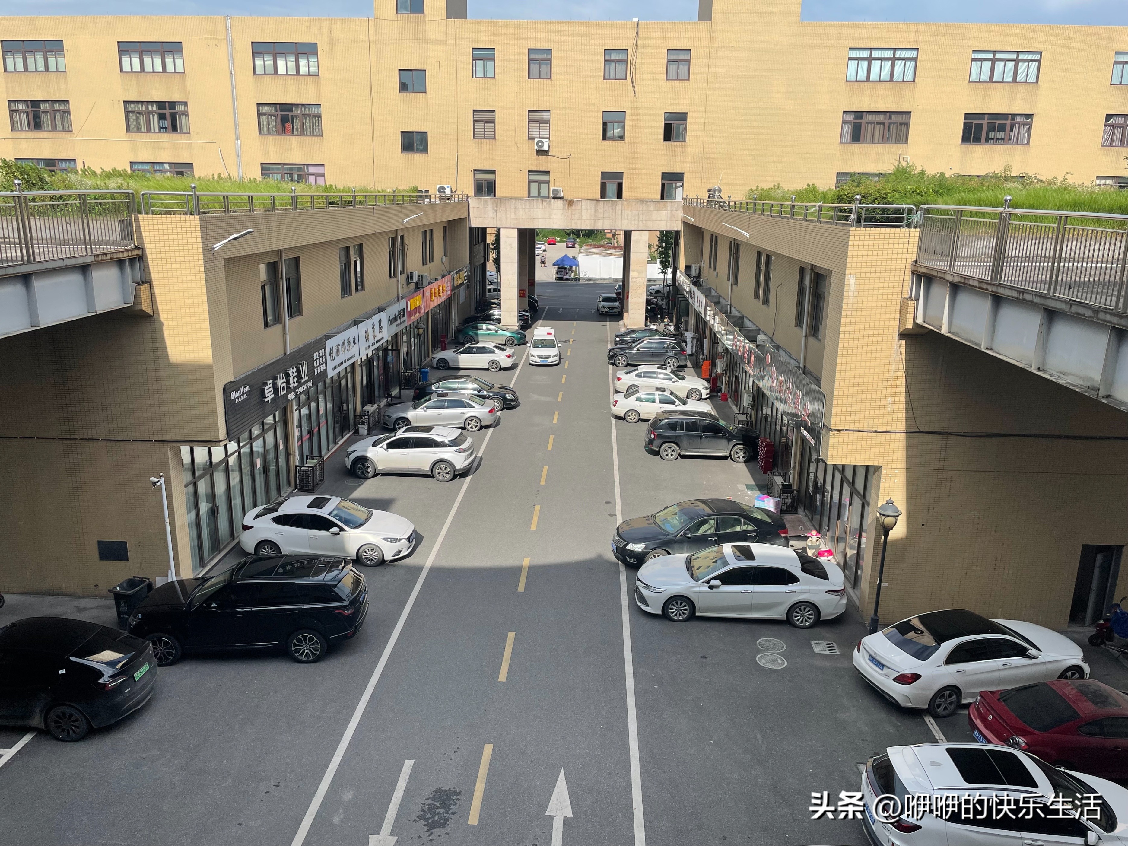 浙江农村土著是怎么挣钱盖大别野的