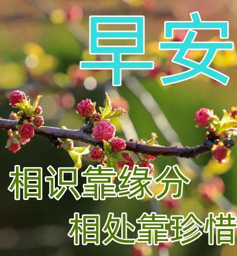 周末早安最漂亮问候图片带字,周三早安正能量图片带字