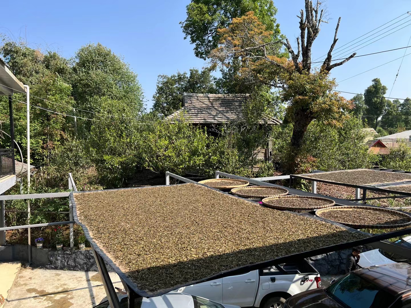 别把普洱茶当韭菜！不只是带货人，茶农、茶商、茶客也要共同维护