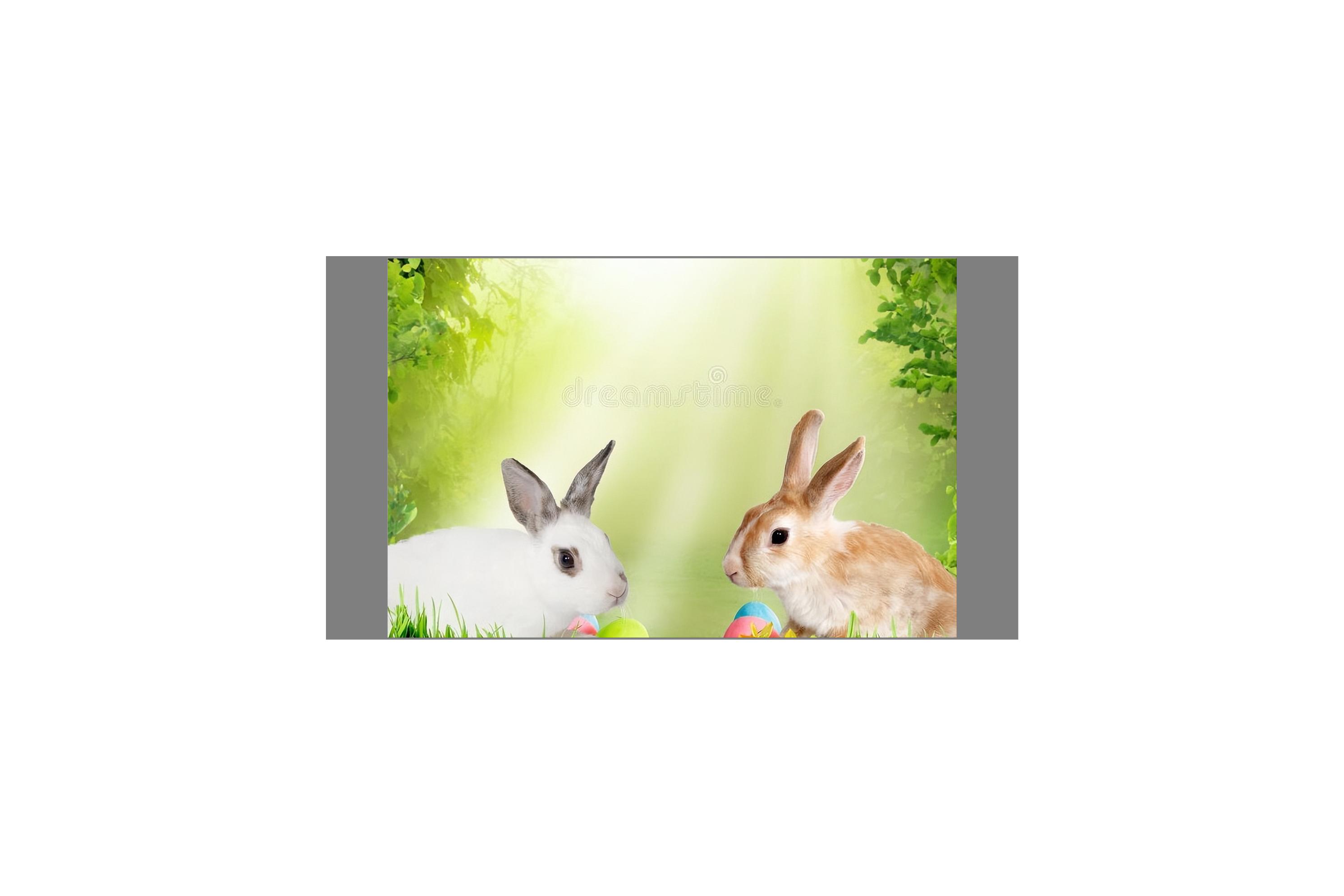 幼儿户外小兔跳圈教案,幼儿园小兔跳圈接力赛