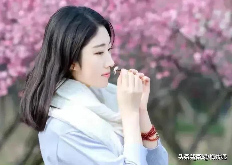 紫石金麟|咏梅七律三十韵②（二叠韵合集）