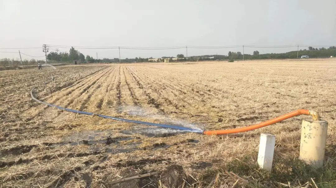 【新闻直通车】大众网点赞罗庄！市域社会治理经验汇｜“爱·在乡间--爱路护路百镇千村行”活动启动仪式举行