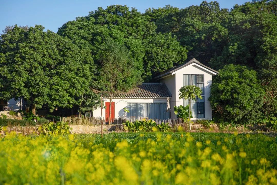 30秒带你认识信丰,一分钟带你认识东莞