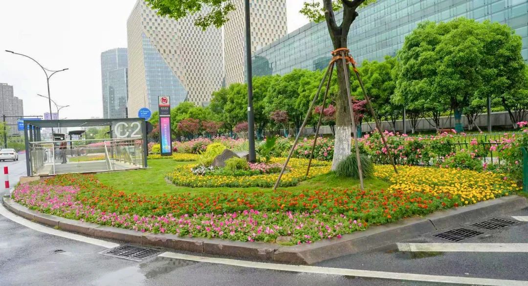 变身市民中心亮出新颜值,市民中心亮点