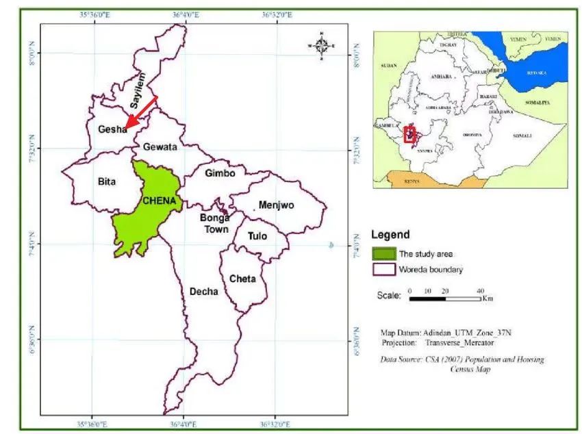 你喝的酒是真的吗,你喝的果酒是假的吗