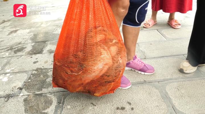 划龙舟预算,划龙舟多少钱