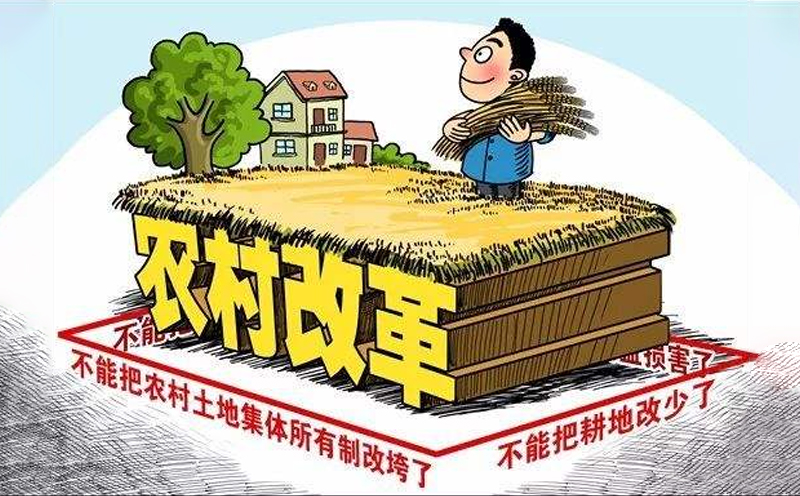 2021一号文件耕地政策,2023年新土地统一耕种是真的吗