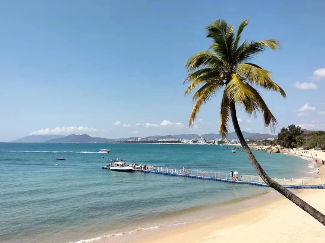 韩剧小奶狗跟富婆谈恋爱,富豪与小奶狗的爱情故事