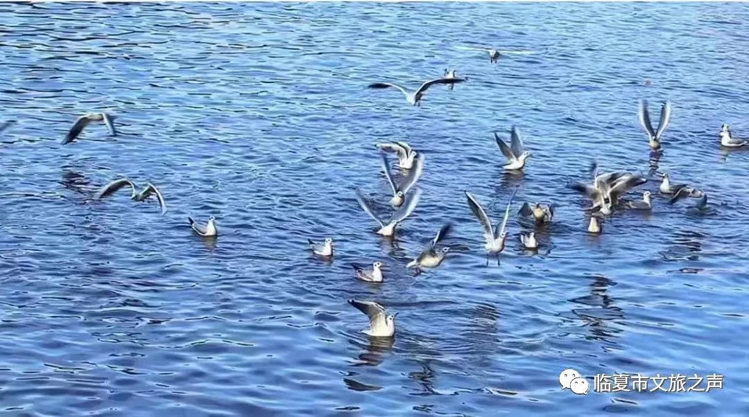 鑷寸編涓界殑灏忓煄涓村,杩欐槸鎴戠敓娲荤殑灏忓煄