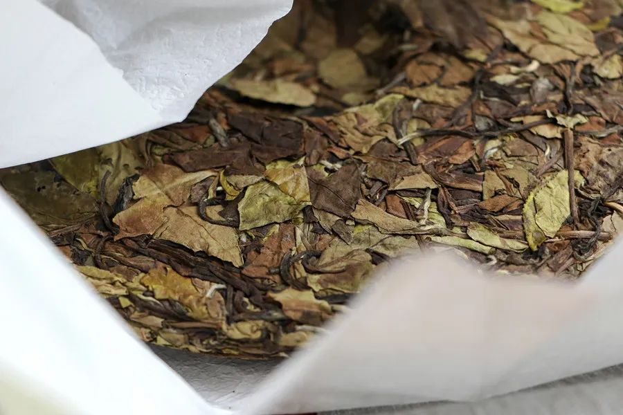 史上最全的茶叶养生知识是什么呢,茶叶真的有养生效果吗