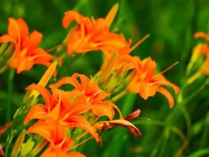 苟日新，日日新，又日新,27。做一个坚持不懈的践行者。