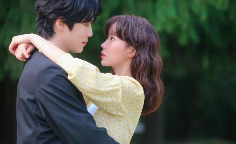 神圣的偶像韩剧讲的什么,木偶的季节韩剧推荐