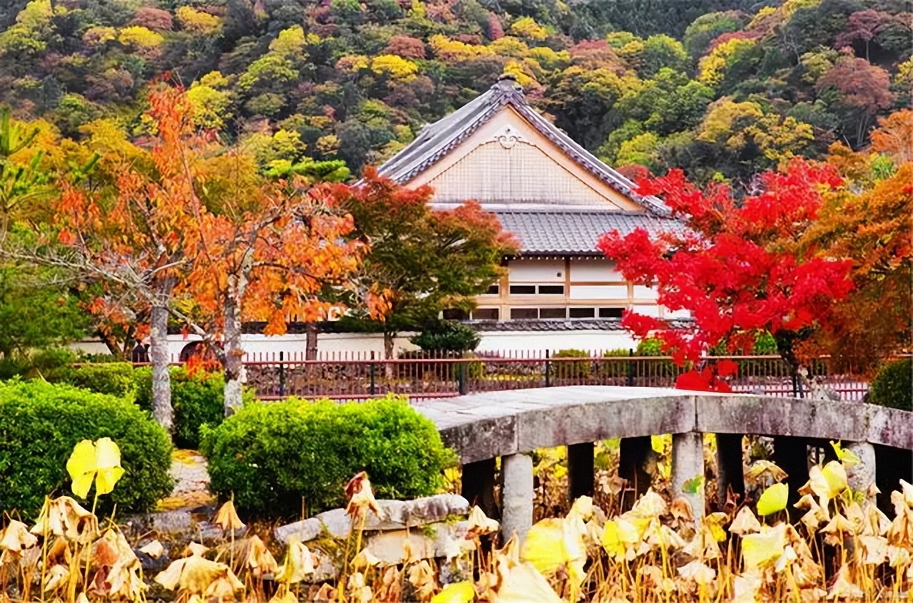 日本最长寿的寿命是多少岁,日本人长寿十大方法