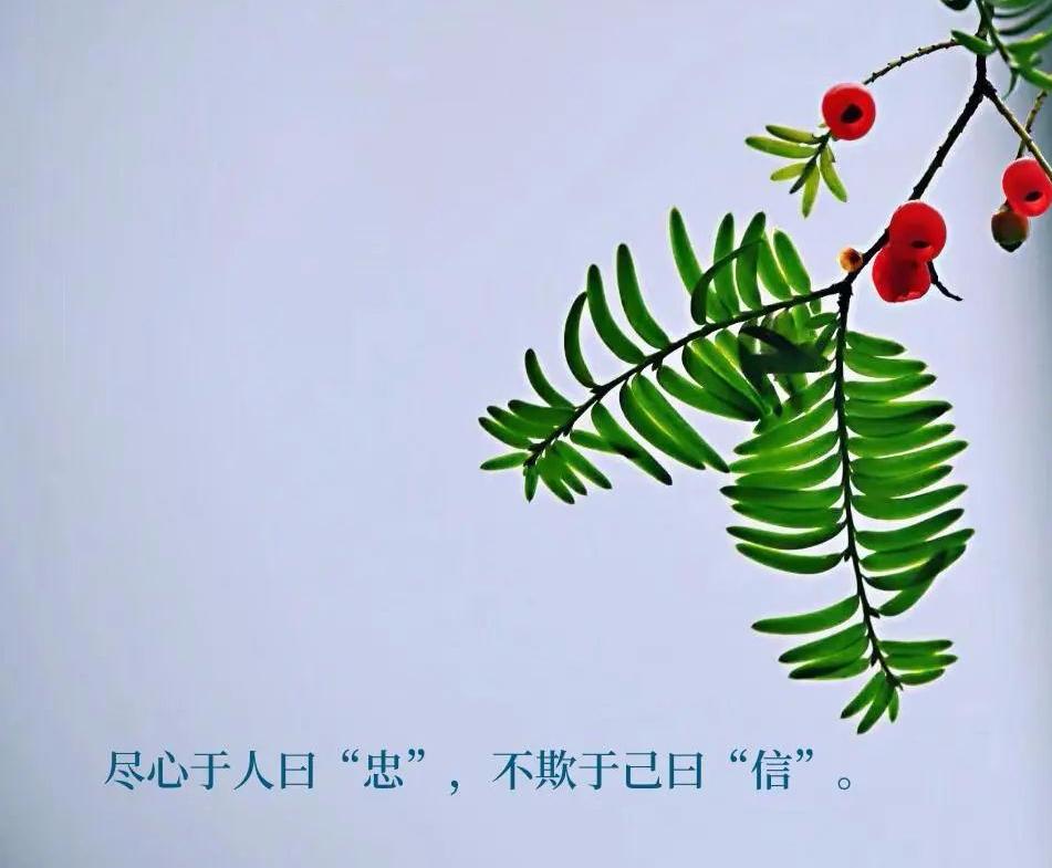 涓崕浼犵粺浜斿痉淇韩鏂囧寲,涓浗浼犵粺浜斿痉淇韩鏂囧寲