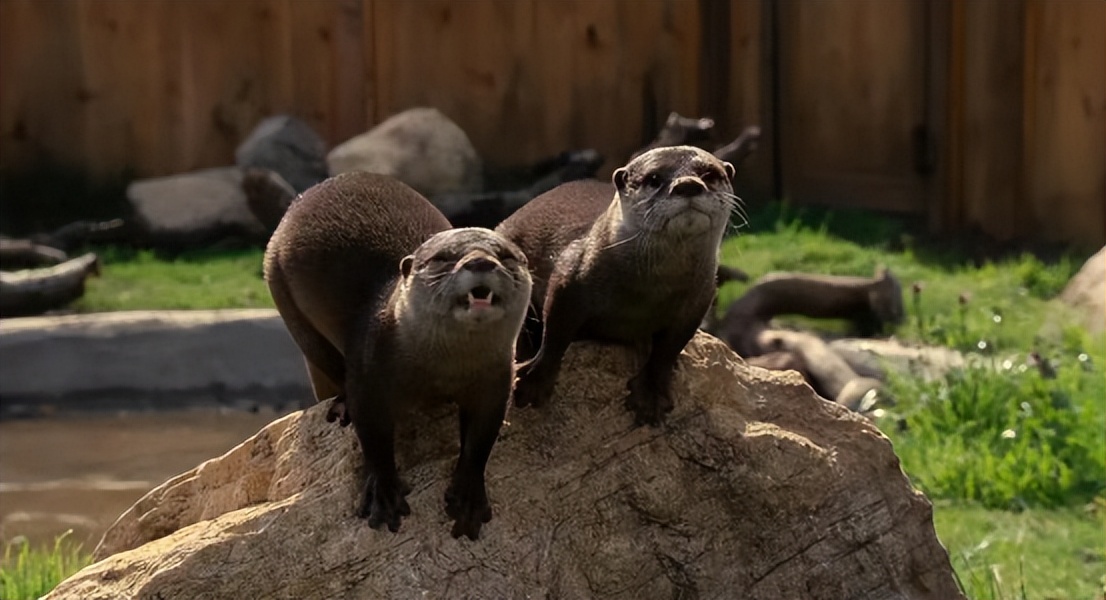 2022圣诞节礼物推荐女生,2022年圣诞礼物女生