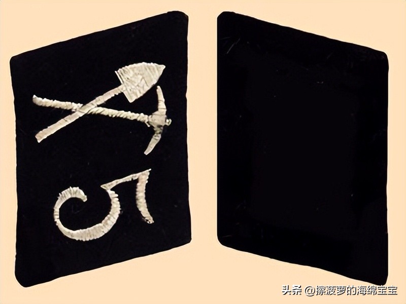 纳粹冲锋队用的什么枪,纳粹德军军衔图解