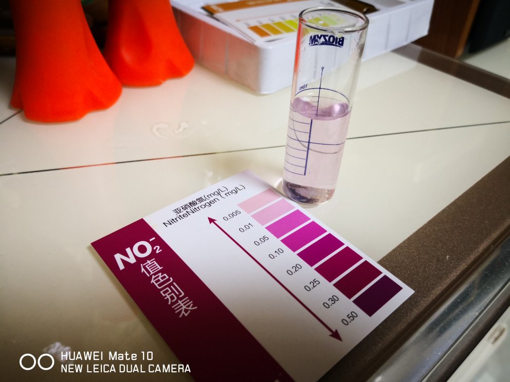 鱼缸水质试纸,亚硝酸盐高鱼缸