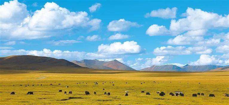 雪山下的梦幻球场爆红网络！*藏西**的这个小城，值得被所有人看到