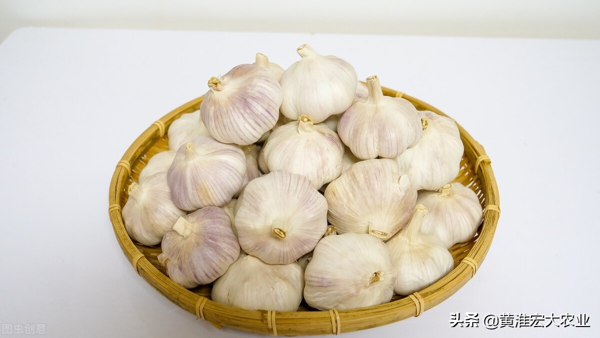 今天云南鲜蒜苔批发价格,现在云南鲜蒜最新价格