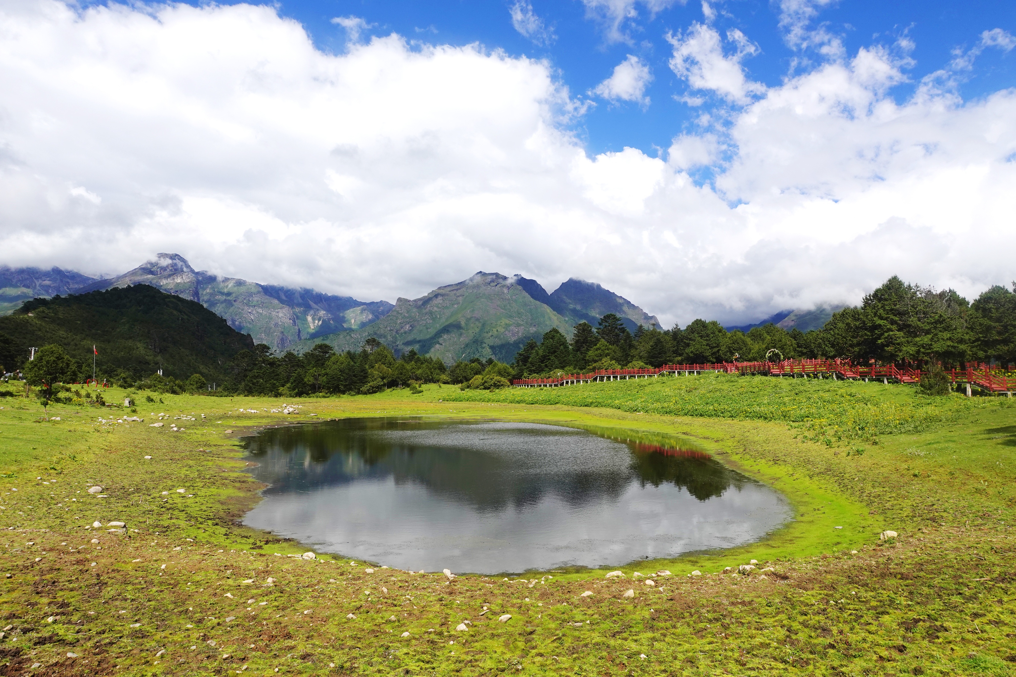 云南最高海拔的茶叶,海拔最高的茶叶产地在哪里