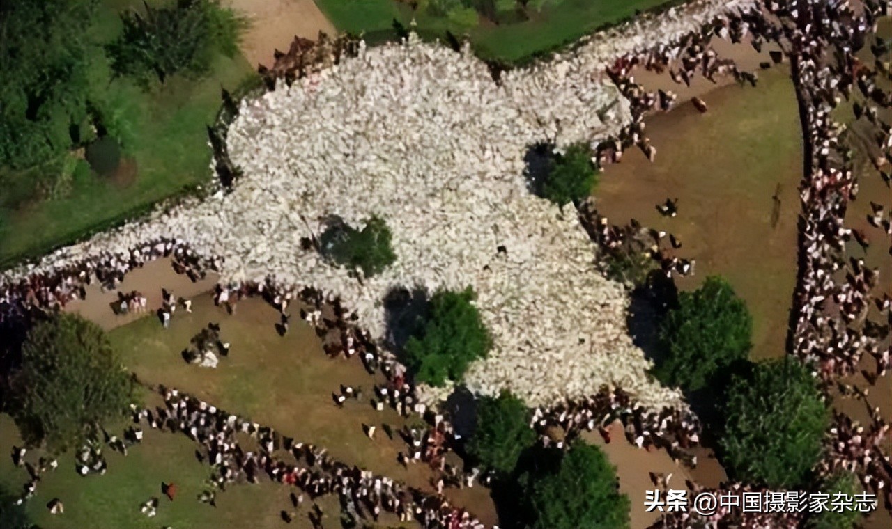 108张令人惊讶的历史与自然照片,有颠覆你认知的那张吗?