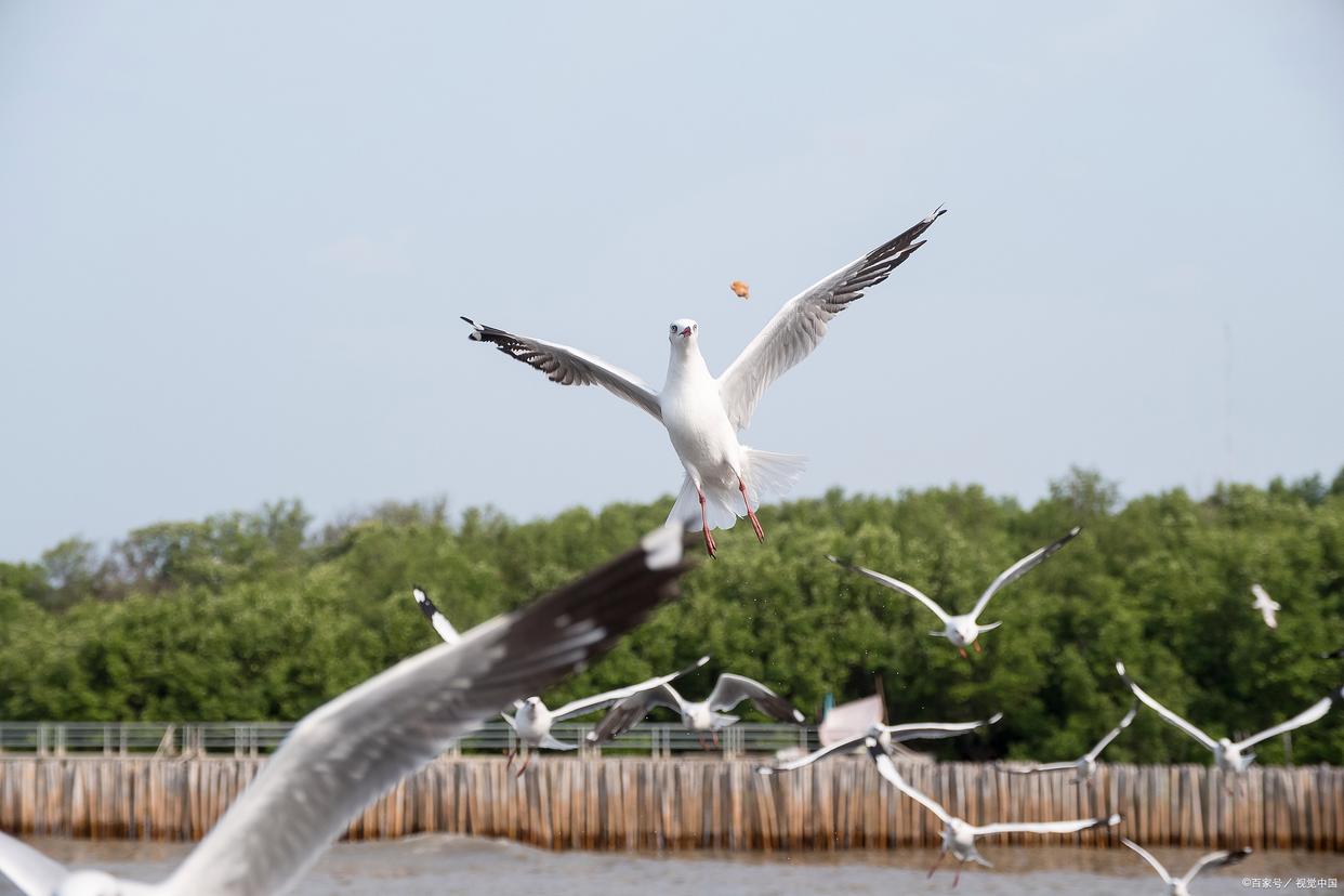 五一去北戴河旅游好玩吗,北戴河五一刘庄夜市