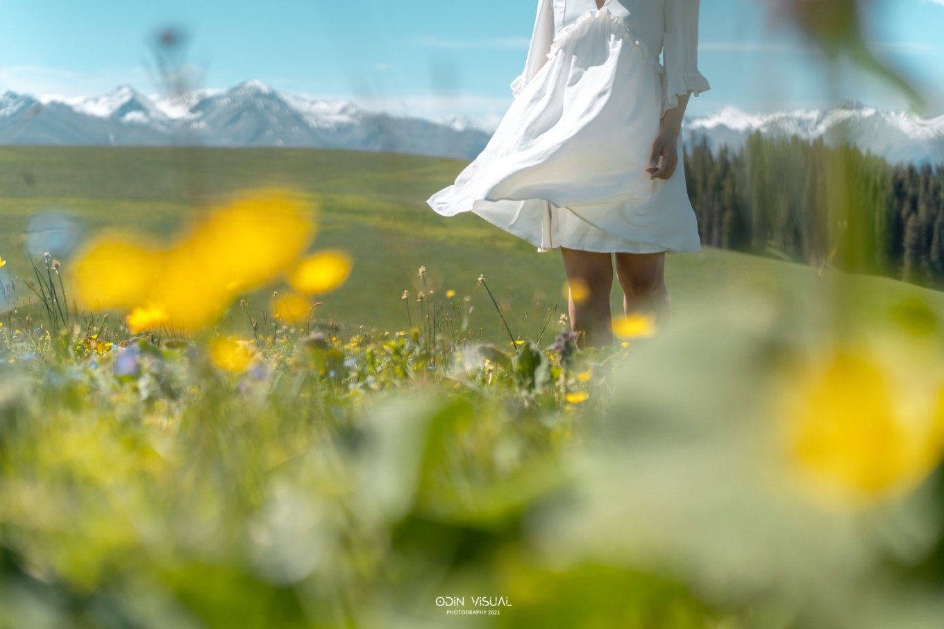 新疆伊犁之美,走了一圈才发现世界万物远不及你