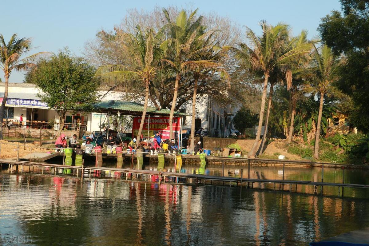 珠海横琴网红十大景点免费,珠海十大最好玩的景点