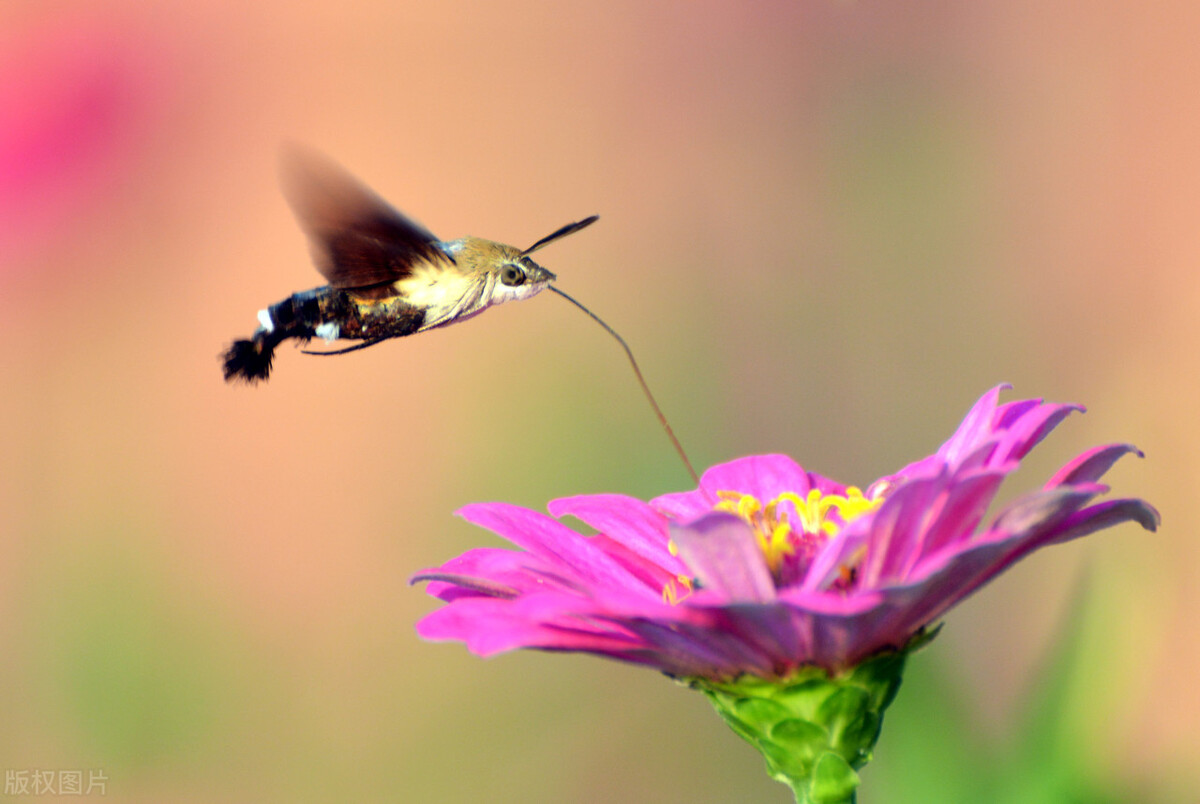 父母不在了兄弟姐妹有必要来往吗,父母不在了兄弟姐妹做好这3件事